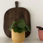Gezinsappartement In - Noort-c 아파트 *