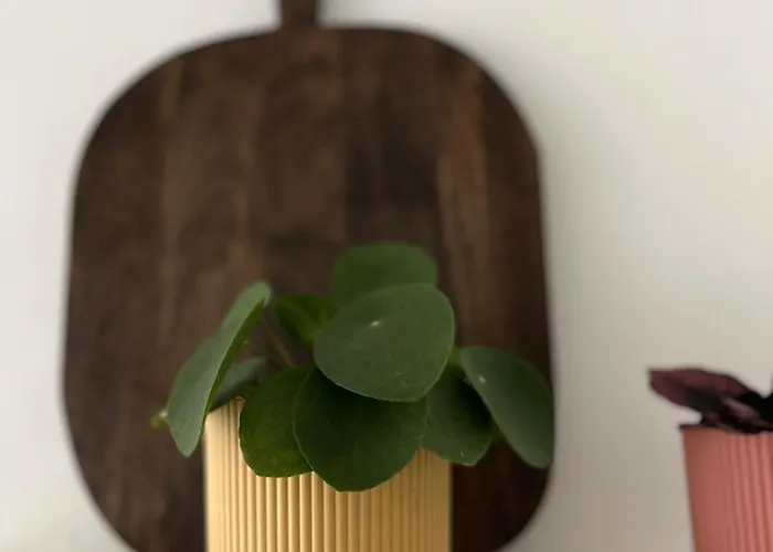 Gezinsappartement In - Noort-c Appartement *